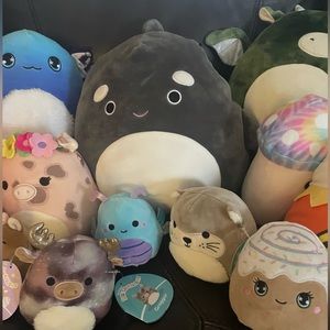 Squishmallows Bundle of 16
